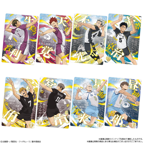 Haikyu!! Wafer Card Collection Volume 6